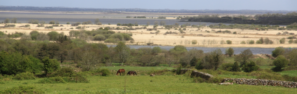 View from Glenlo, Galway