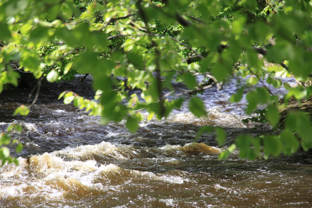 Waterfall, Oughterard, Galway