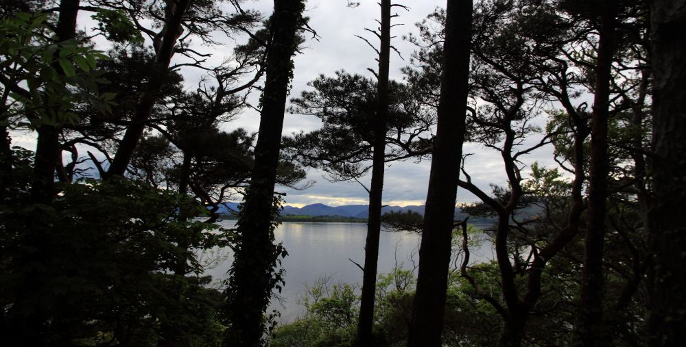 Inchagoill, Maflies, Lough Corrib, Oughterard, Galway, Ireland