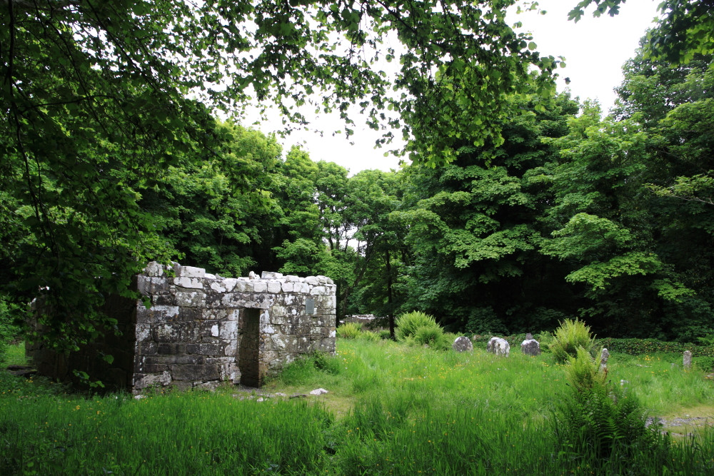 Inchagoill, Maflies, Lough Corrib, Oughterard, Galway, Ireland