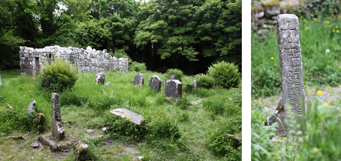 Inchagoill, Maflies, Lough Corrib, Oughterard, Galway, Ireland