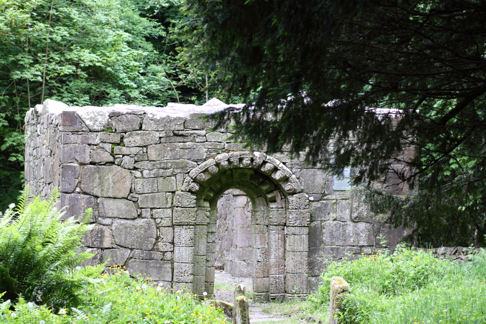 Inchagoill, Maflies, Lough Corrib, Oughterard, Galway, Ireland