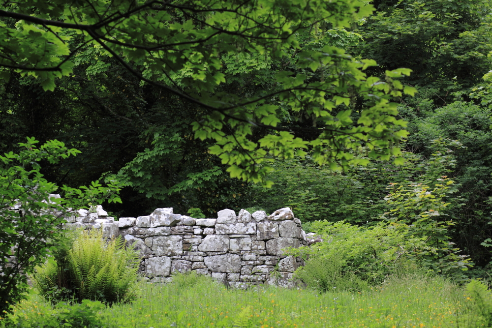 Inchagoill, Maflies, Lough Corrib, Oughterard, Galway, Ireland