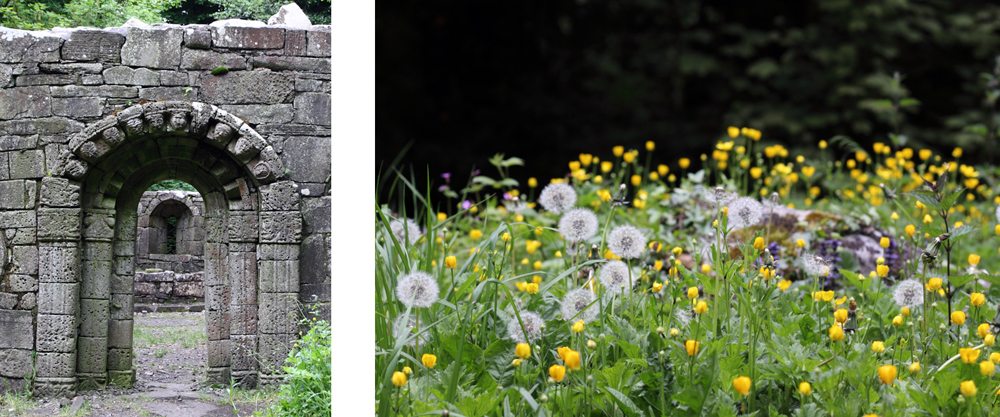 Inchagoill, Maflies, Lough Corrib, Oughterard, Galway, Ireland