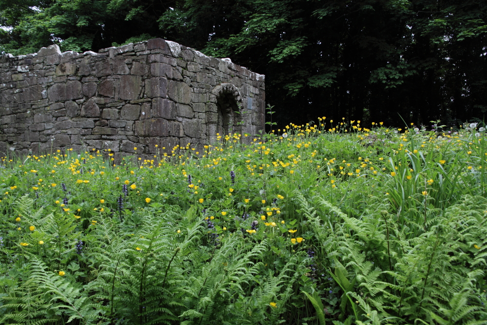 Inchagoill, Maflies, Lough Corrib, Oughterard, Galway, Ireland
