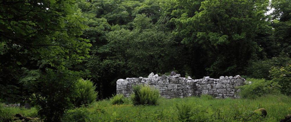 Inchagoill, Maflies, Lough Corrib, Oughterard, Galway, Ireland
