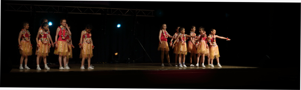 Act Dance Sing Galway Stars On The Rise Show 2014