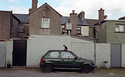 galway west end gallery image donal kelly