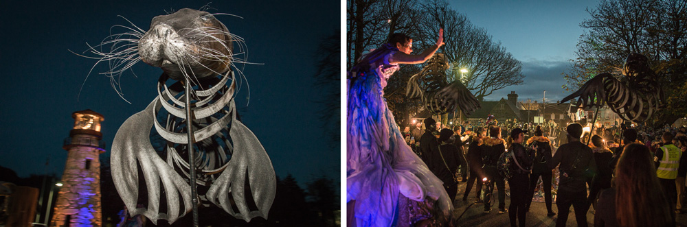 Macnas parade Galway 2017, Galway City, Donal Kelly photography