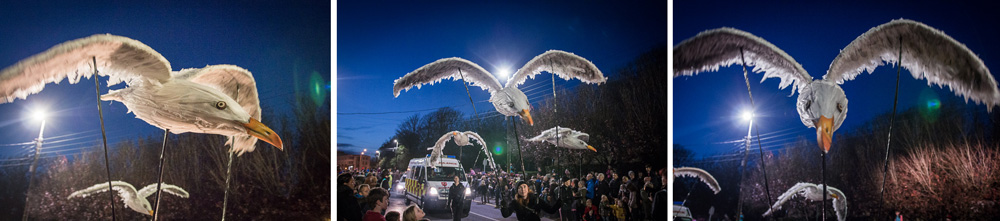Macnas parade Galway 2017, Galway City, Donal Kelly photography