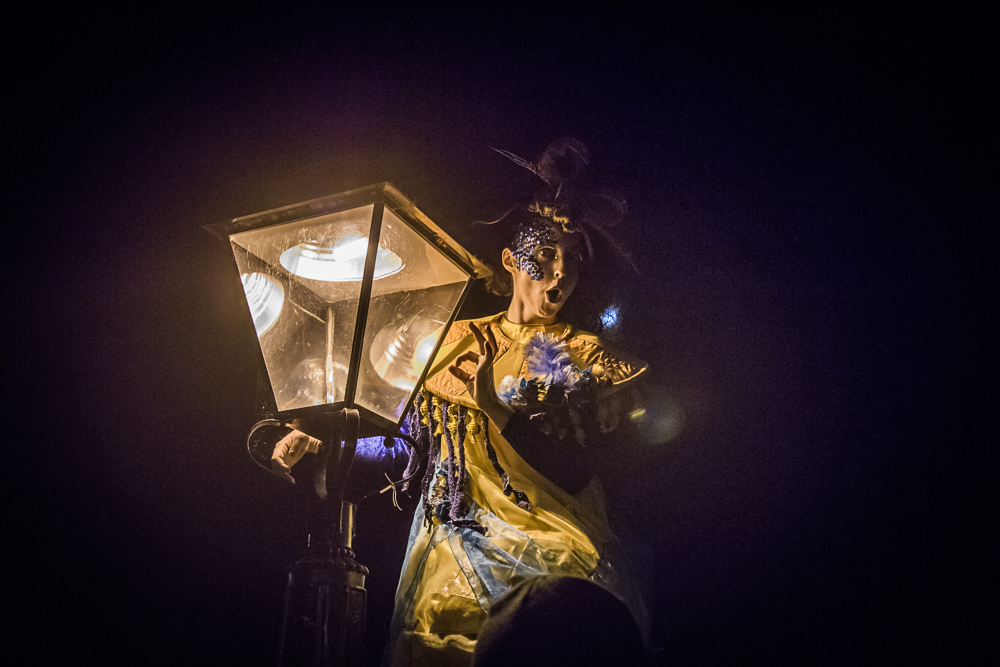 Macnas parade Galway 2017, Galway City, Donal Kelly photography