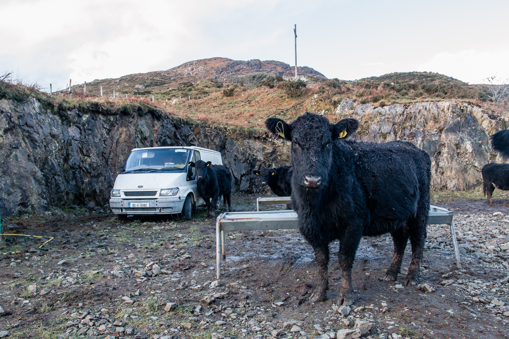 Atlantic photos, Cashel, Cashel Hill, Connemara, Conamara, Galway, Ireland, Donal Kelly Photography