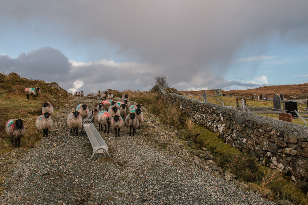 Atlantic photos, Cashel, Cashel Hill, Connemara, Conamara, Galway, Ireland, Donal Kelly Photography