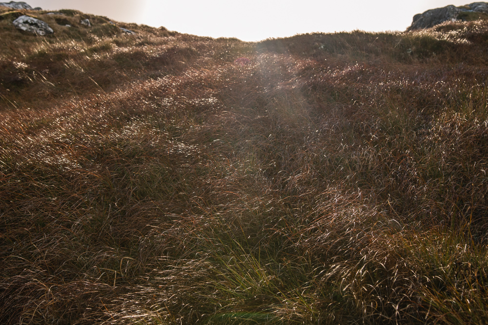 Atlantic photos, Cashel, Cashel Hill, Connemara, Conamara, Galway, Ireland, Donal Kelly Photography