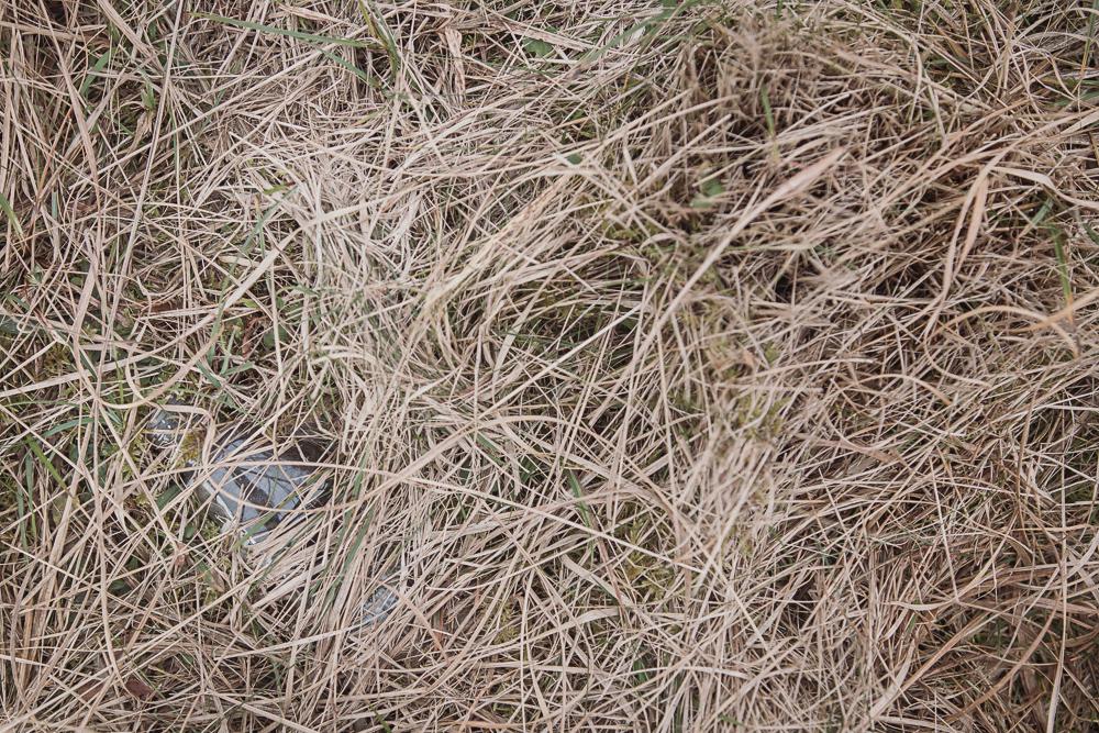 100 paces of rubbish, N59, Connemara, Ireland, Donal Kelly photography