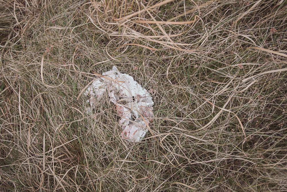 100 paces of rubbish, N59, Connemara, Ireland, Donal Kelly photography