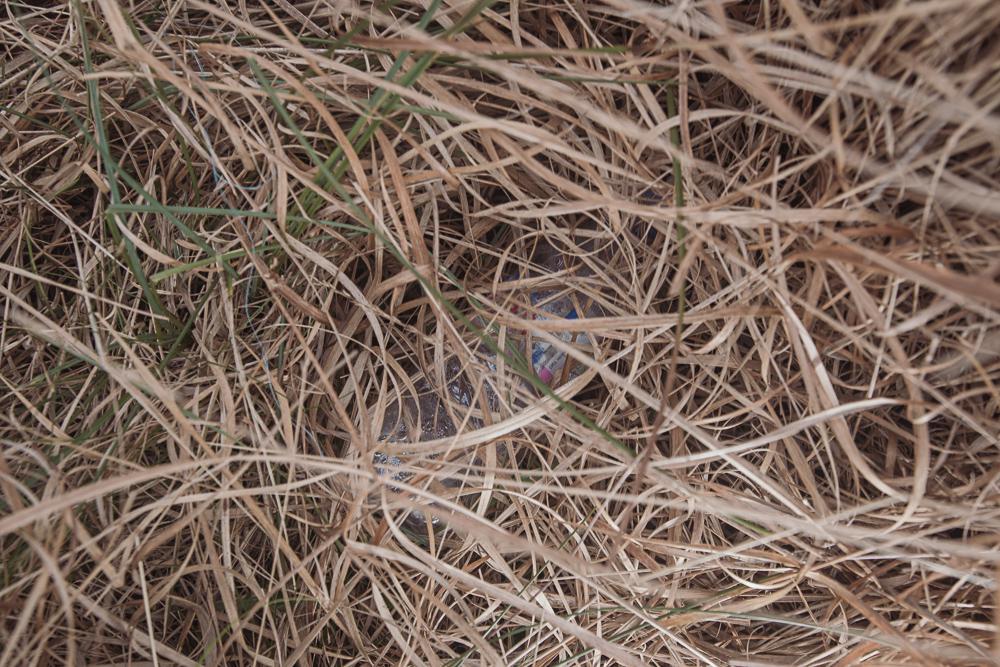 100 paces of rubbish, N59, Connemara, Ireland, Donal Kelly photography