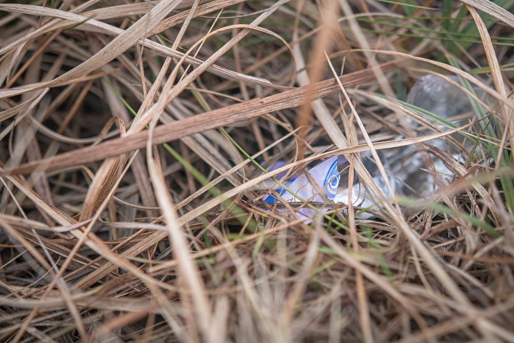 100 paces of rubbish, N59, Connemara, Ireland, Donal Kelly photography