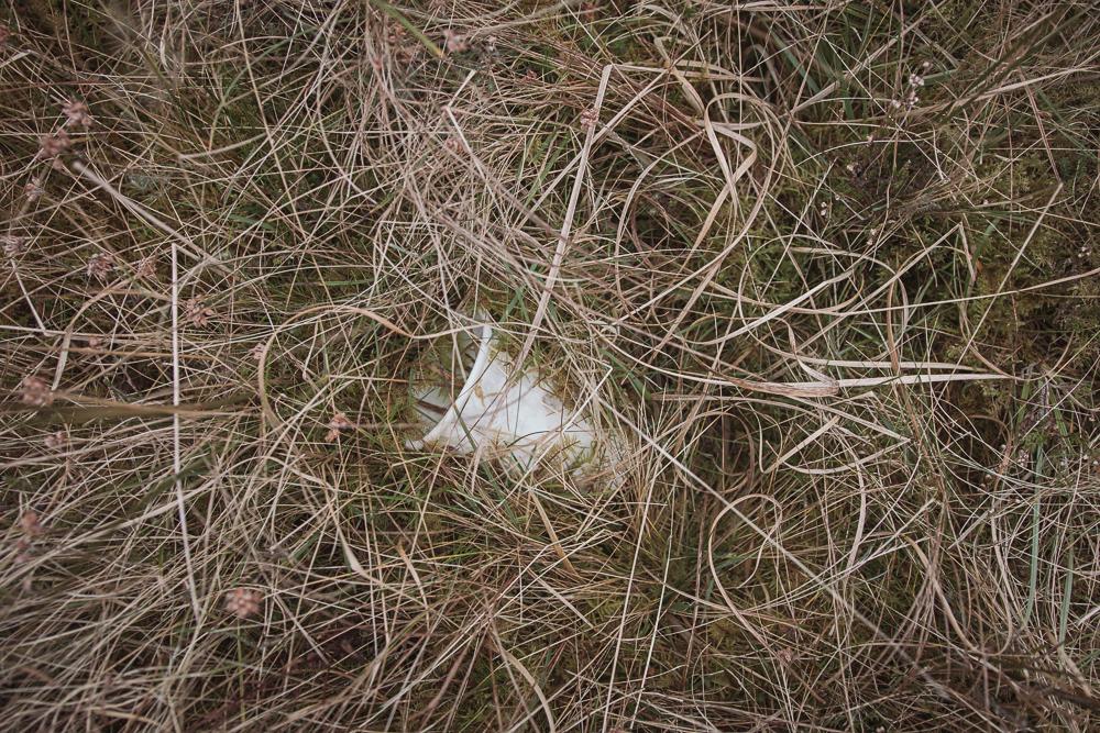 100 paces of rubbish, N59, Connemara, Ireland, Donal Kelly photography