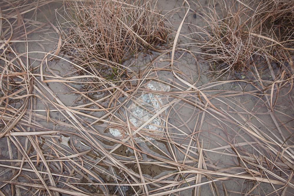 100 paces of rubbish, N59, Connemara, Ireland, Donal Kelly photography