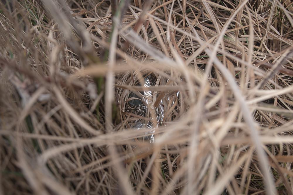 100 paces of rubbish, N59, Connemara, Ireland, Donal Kelly photography