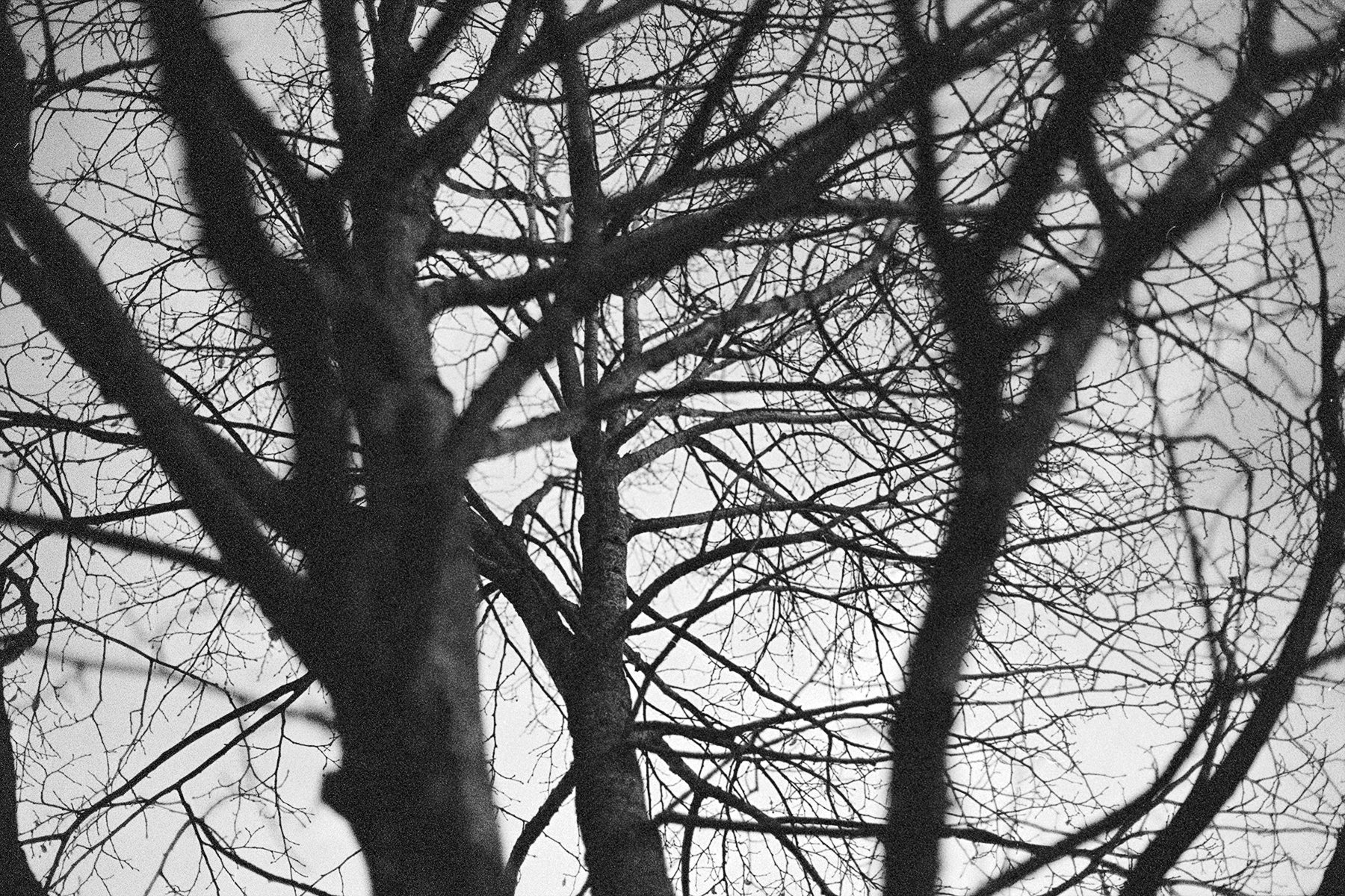 home, black and white film photography, Donal Kelly
